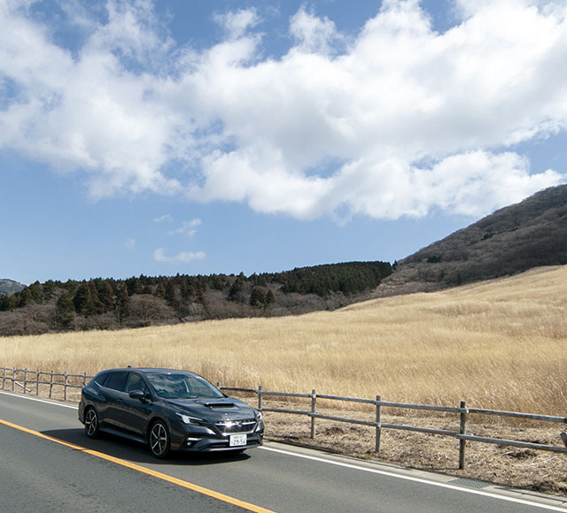 カートピア 仙石原のすすき草原前を走るLEVORG | SUBARU