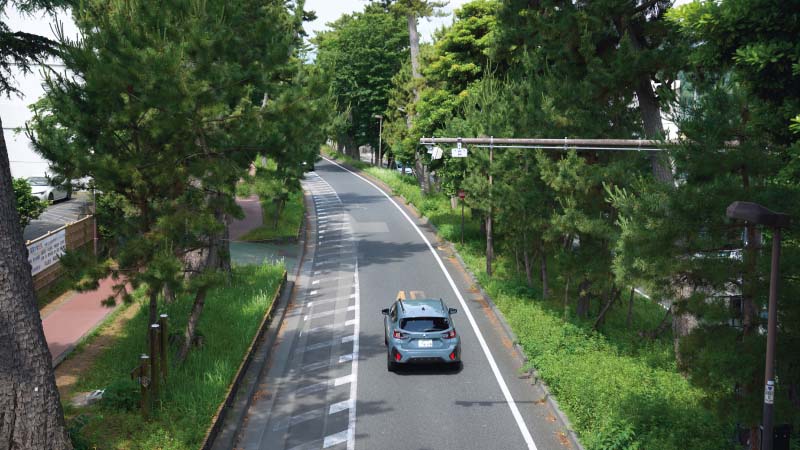 カートピア 大磯の松並木の間を駆けるクロストレック | SUBARU