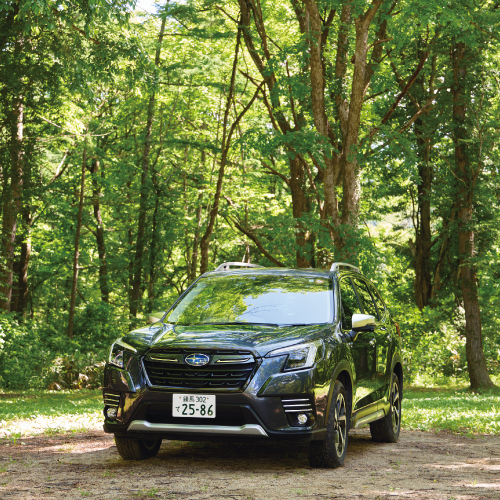 カートピア 森の中に停まるフォレスター | SUBARU