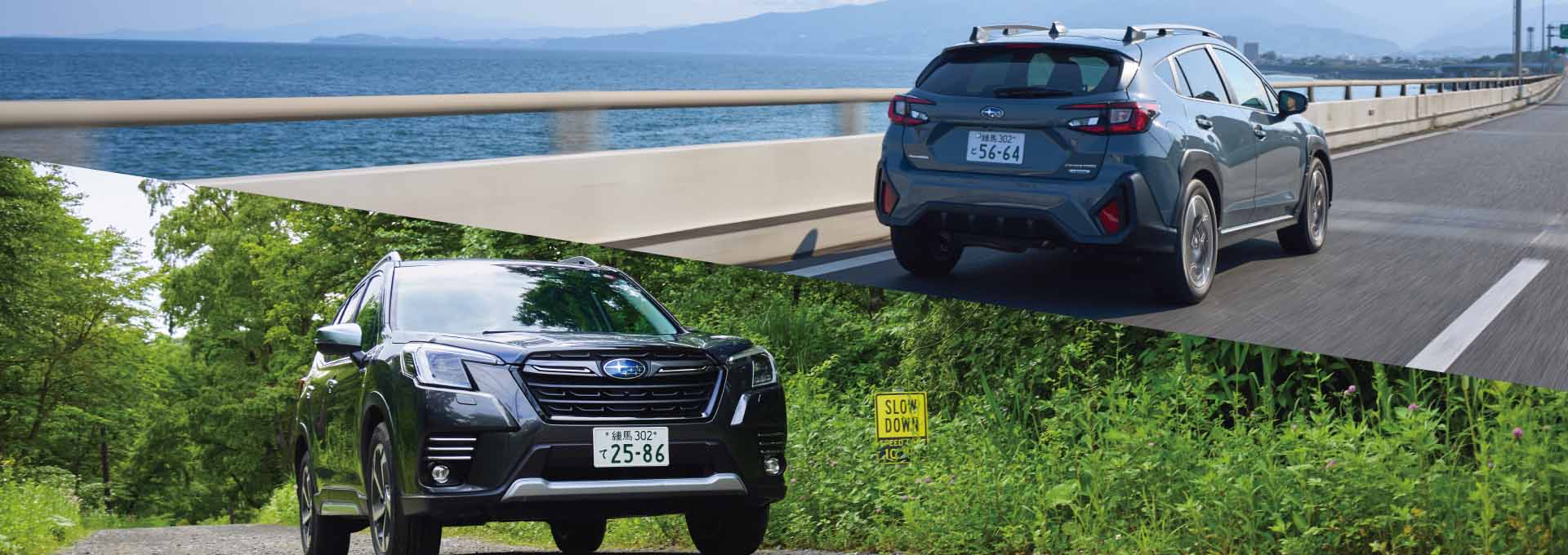 カートピア SUMMER SPECIAL FEATURE 海SUBARU 山SUBARU | SUBARU